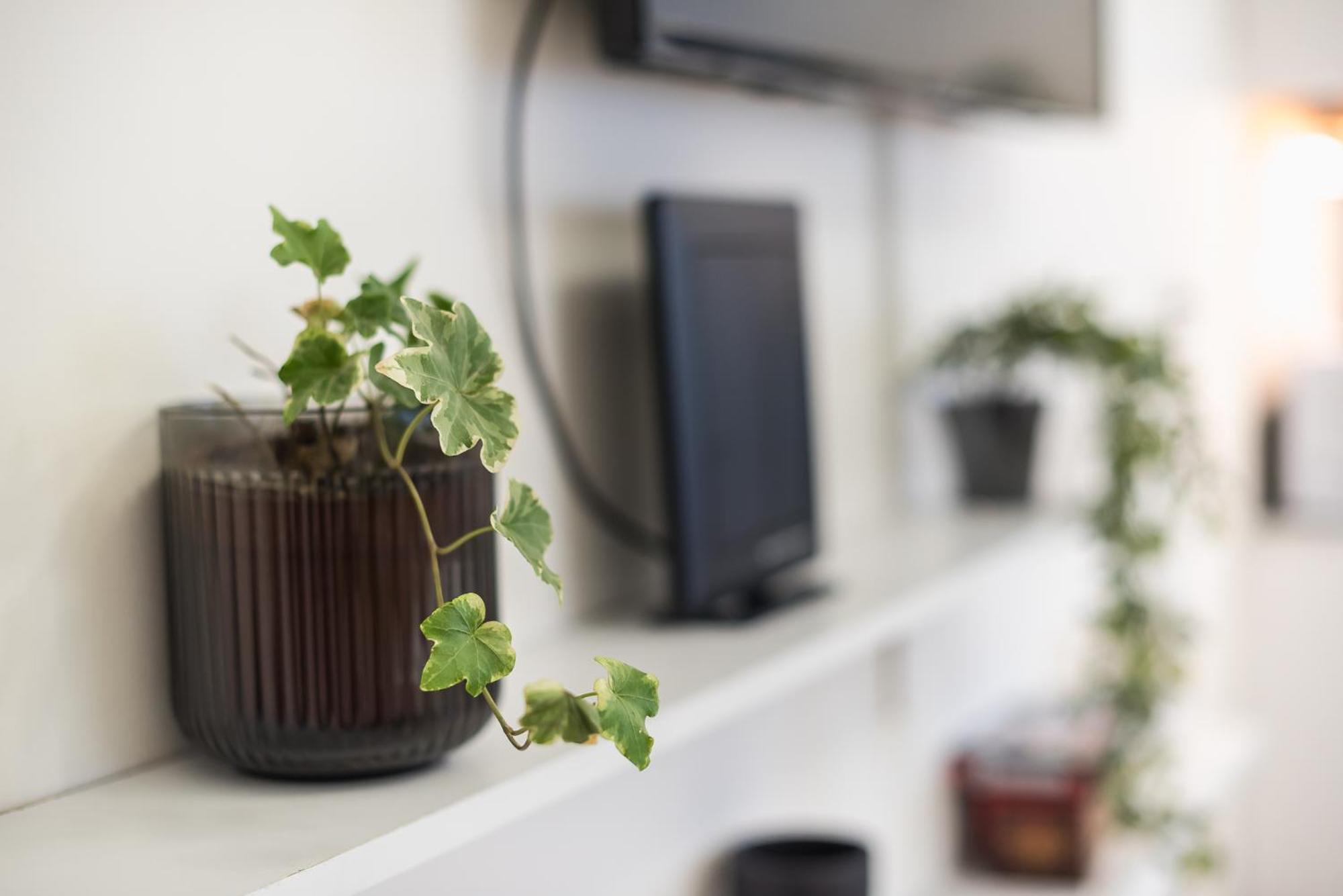 Modern Apartment 200M From Acropolis 100Mbps Netflix Αθήνα Εξωτερικό φωτογραφία