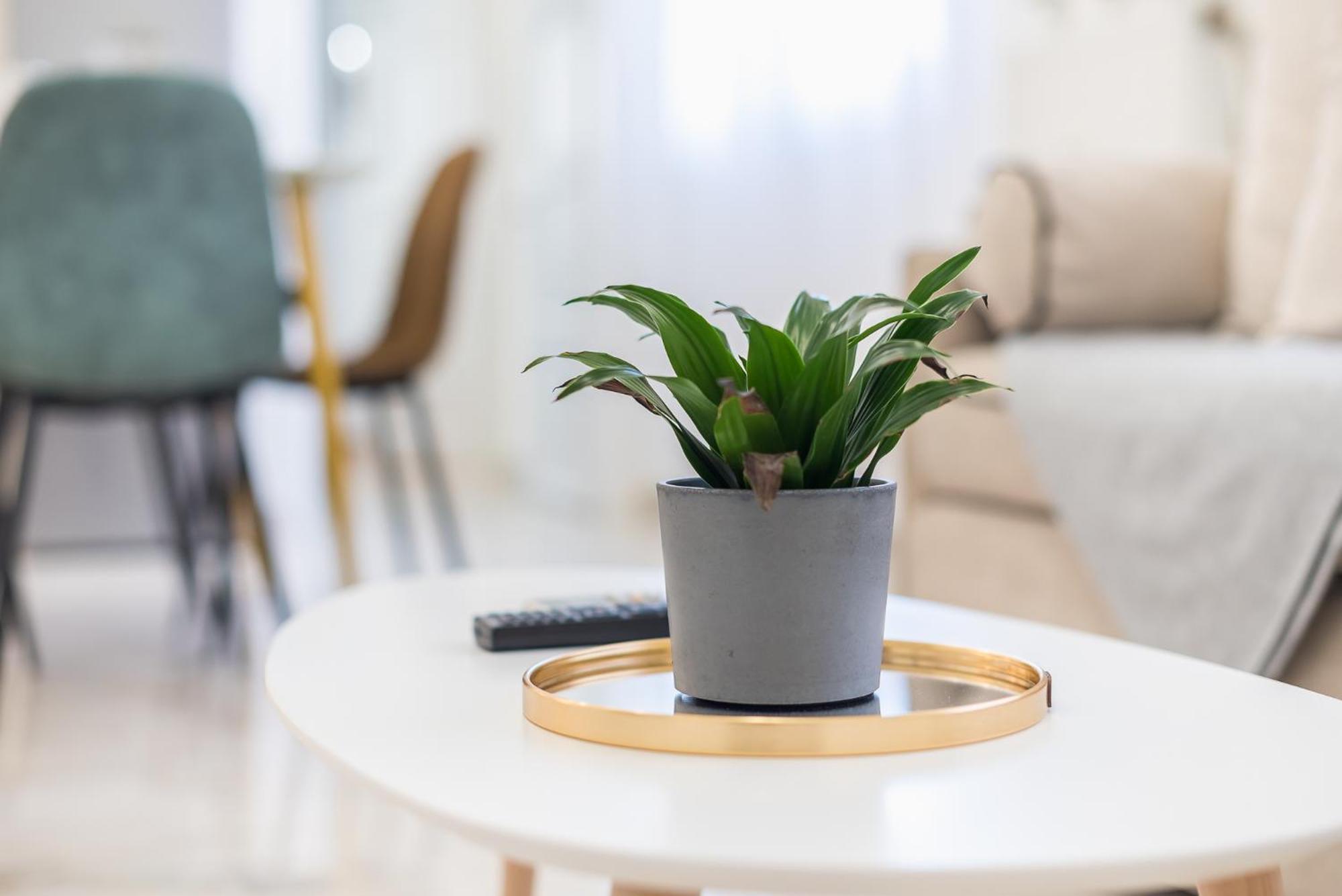 Modern Apartment 200M From Acropolis 100Mbps Netflix Αθήνα Εξωτερικό φωτογραφία